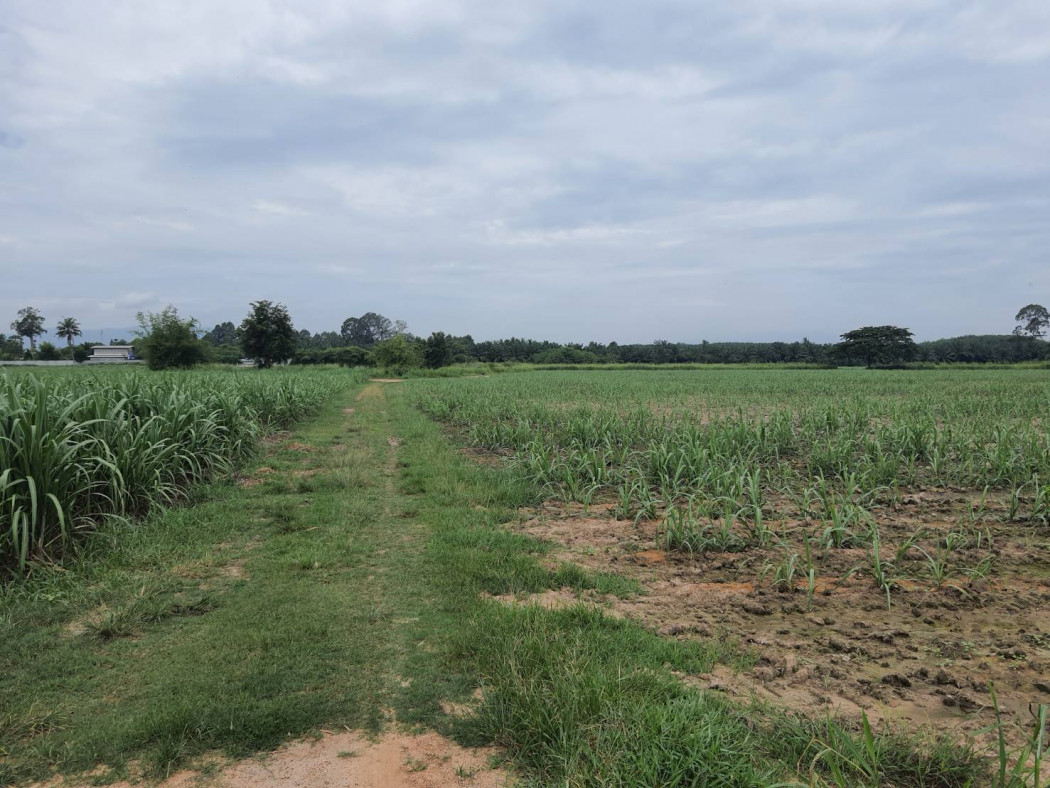 SaleLand Land for sale in Nong Irun, 80 rai, next to a concrete road on 2 sides, next to a large canal,