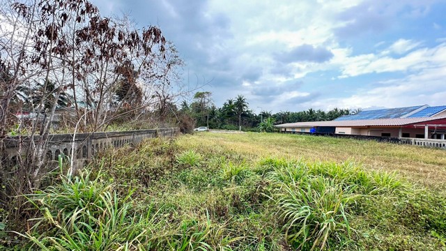 เข้าพรรษาหาทรัพย์ดีประดับบารมี  ที่ดินขายที่ดินริมหาด  ทรายขาวน้