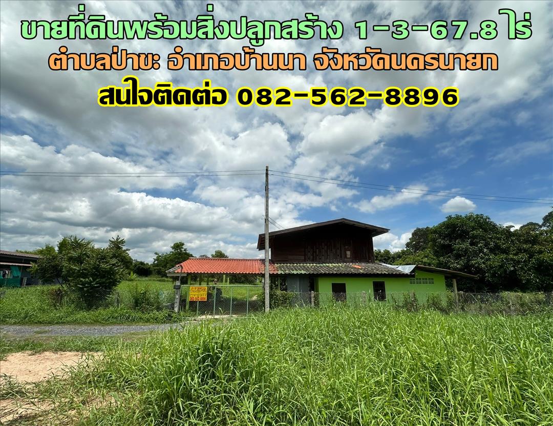 ขายที่ดินพร้อมสิ่งปลูกสร้าง 1-3-67.8 ไร่ ตำบลป่าขะ อำเภอบ้านนา จังหวัดนครนายก