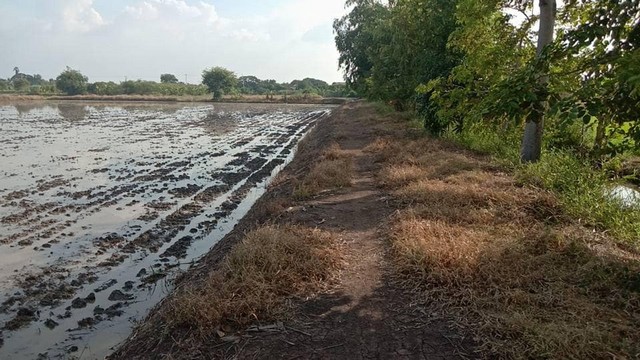 เข้าพรรษาหาทรัพย์ดีประดับบารมี  ที่ดิน แบ่งขาย ลาดหลุมแก้ว   คอนก