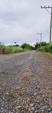 ขายที่ดินหนองเสือ น้ำไฟมีพร้อม ติดถนน ขนาด 60 ตรว. 