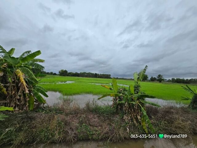 ขายที่ดินราคาประเมิน หน้ากว้าง ต.เกาะหวาย อ.ปากพลี จ.นครนายก