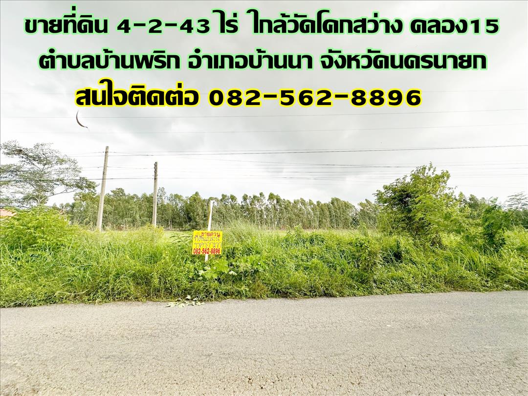 ขายที่ดิน 4-2-43 ไร่ ใกล้วัดโคกสว่าง คลอง15 ตำบลบ้านพริก อำเภอบ้านนา จังหวัดนครนายก