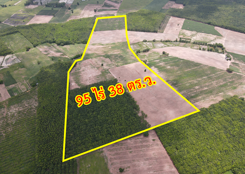 SaleLand Land for sale, Au Don Thani