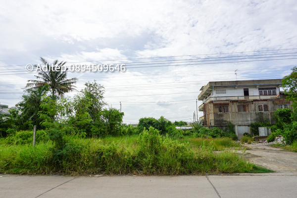 ขายที่ดิน ขายที่ดิน พื้นที่สีม่วง สมุทรปราการ 200 ตร.วา ซอยสุขสวัสดิ์ 78 