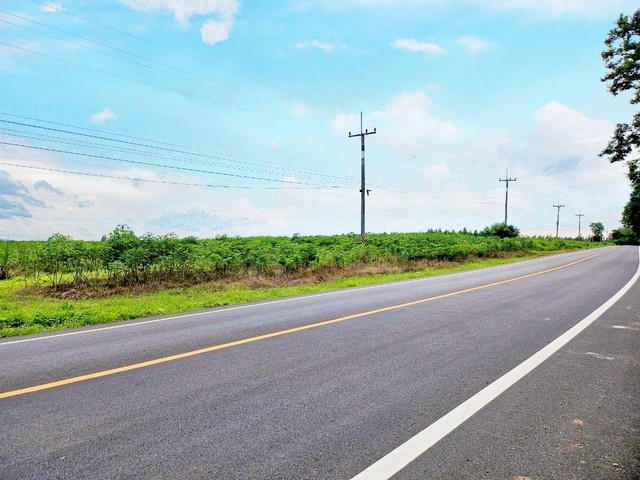 SaleLand ขายที่ดินบ้านบึง หนองอิรุณบ้านบึงชลบุรี​