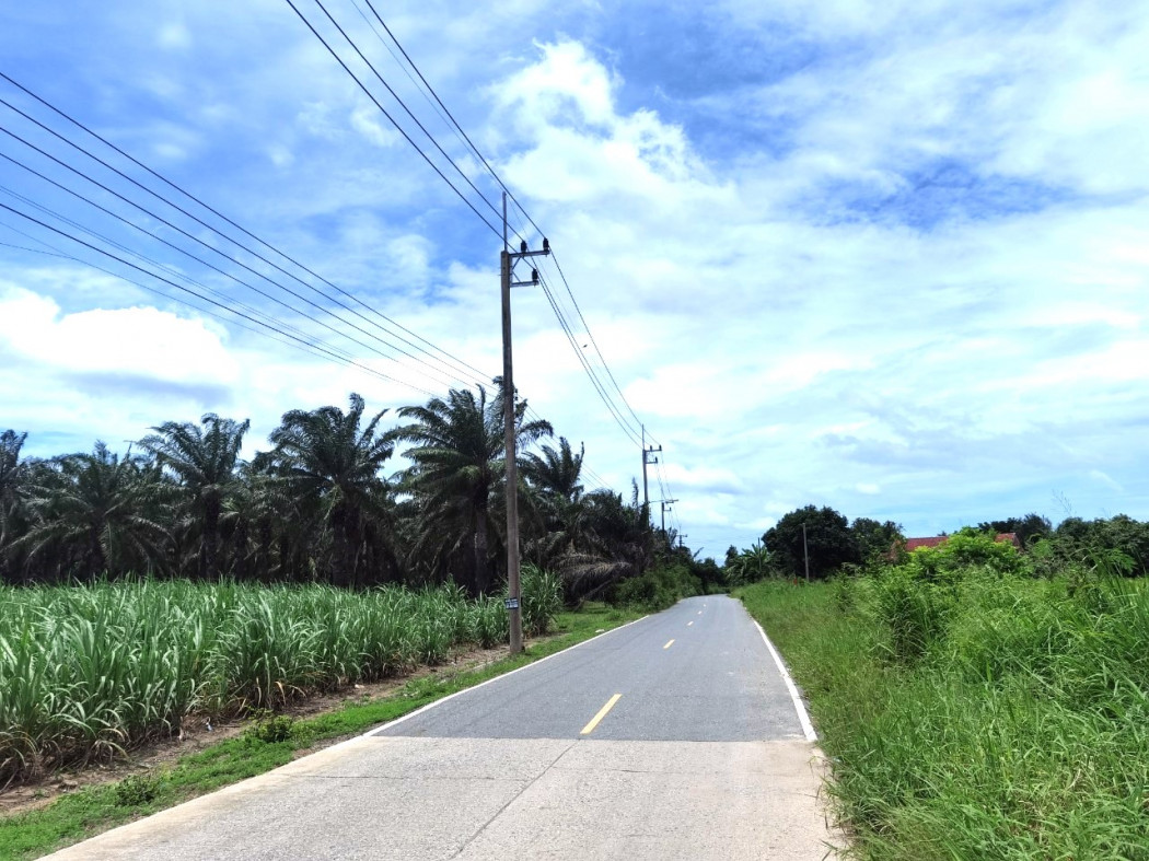 SaleLand Land for sale ME207, large plot, good location, cheap price, Nong Irun, Ban Bueng, Chonburi. 327 rai 72 sq m, near Road 331, only 6 Km.