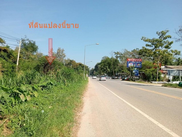 ขายที่ดิน 95 ไร่ ติดถนน วิวภูเขา เหมาะสำหรับทำโรงแรม รีสอร์ท ปากช