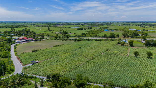 ขายที่ดิน ขายที่ดินทำเลทอง ติดถนน สพ.4059 ถนน2 เลน อ. อู่ทอง จ. สุพรรณบุรี