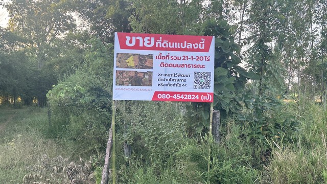 SaleLand ขายที่ดินทำเลดี รวม 3 แปลง จังหวัดขอนแก่น 