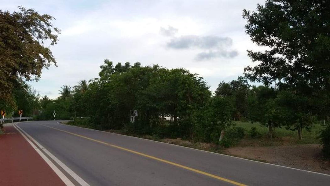 SaleLand Land for sale, land for sale in Sam Roi Yot Next to the main road, paved Sam Roi Yot Beach, 261 sq m.