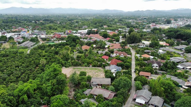 SaleLand ที่ดินสันป่าตองใกล้ถนนหลวง108 น้ำไฟพร้อมดินดี 