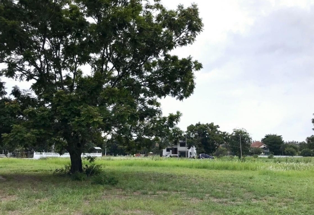 ขายที่ดินแปลงสวยริมน้ำ หมู่บ้าน THE LAGOON อ.สามโคก ปทุมธานี 