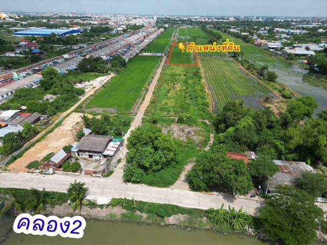 ขายที่ดิน ขายที่ดินคลองสอง ปทุมธานี ใกล้ตลาดไท ติดกับถนน เนื้อที่ 365 ตรว.