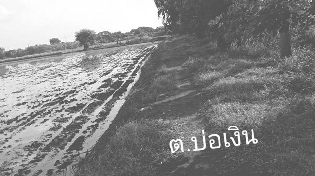 ทรัพย์คุ้มค่าหน้าฝนอยู่เย็นสุขสบาย   ที่ดิน แบ่งขาย ลาดหลุมแก้ว 