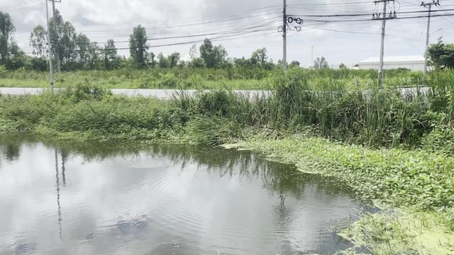 SaleLand ขายที่ดิน ถนนสิริโสธร บางปะกง 50-2-60 ไร่ 