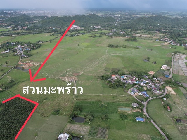 ขายที่ดิน ขายที่ดิน 400 ไร่ เหมาะแก่การเกษตร ปลูกมะพร้าว ปลูกข้าว เมืองราชบ