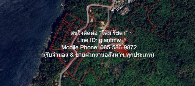 ขายที่ดินเปล่าบนภูเขา และวิวทะเล ต.กมลา อ.กะทู้ จ.ภูเก็ต 2 ไร่