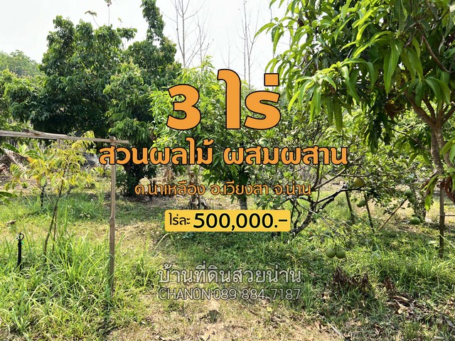 ขายที่ดิน ขายที่ดินสวนผลไม้....ติดห้วย...