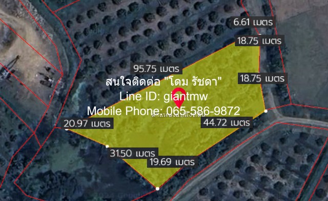 ขายที่ดินสวนลำไย ต.ขุนคง อ.หางดง จ.เชียงใหม่ (น.ส.4 จ) 2 ไร่, 2.5