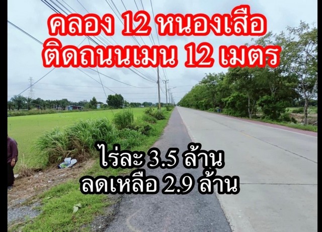 ขายที่ดิน คลอง 12 ตำบลสามวัง อำเภอหนองเสือ จังหวัดปทุมธานี