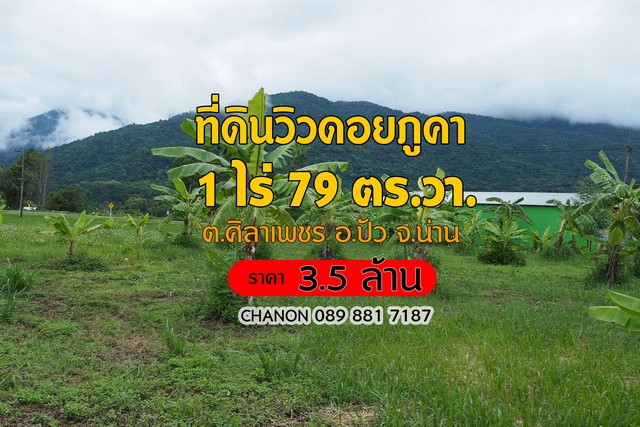 SaleLand ที่ดินวิวดอยภูคา ทำเลทอง เหมาะสำหรับสร้างธุรกิจในฝัน  อ.ปัว