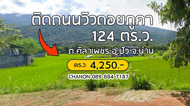 SaleLand ที่ดินติดถนนใหญ่วิวดอยภูคา ทำเลสวย ติดถนน 