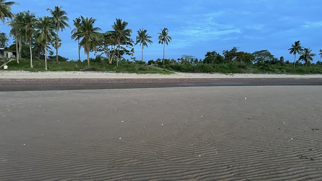 ขายที่ดิน ทรัพย์คุ้มค่าราคาดีจับต้องได้  หาดฝั่งแดง ไร่ล่ะ3.5 ล้านบาท 