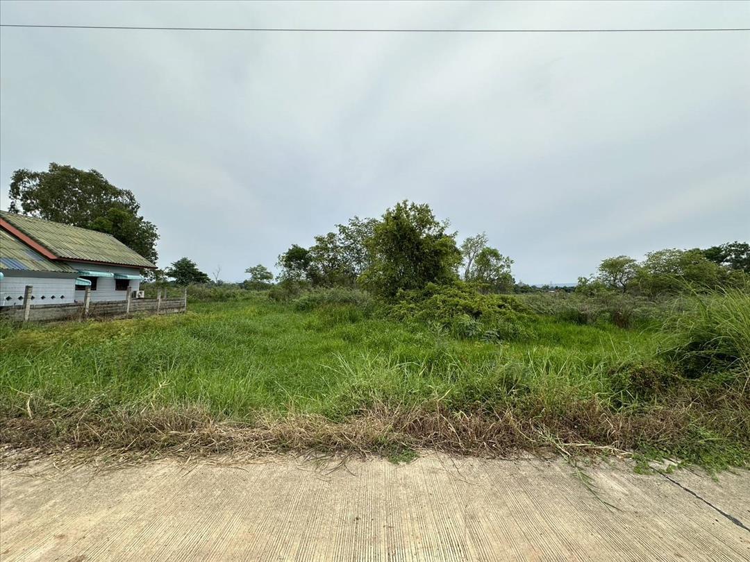 SaleLand Empty land for sale, Phitsanulok 98 sq m