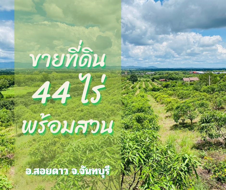 ขายที่ดินพร้อมสวนติดเชิงเขา   ทำเลทอง อำเภอสอยดาว จังหวัดจันทบุรี