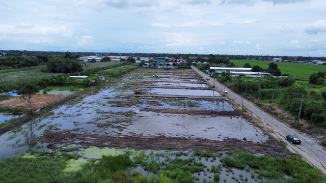 SaleLand ขายที่ดิน คลอง11 ตำบลบึงทองหลาง  อำเภอลำลูกกา  จังหวัดปทุมธานี 