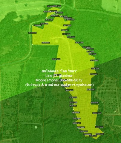 ขายที่ดิน ขายที่ดินสวนผลไม้ปลอดสารพิษ อ.ประจันตคาม จ.ปราจีนบุรี 57-0-90.4 ไ