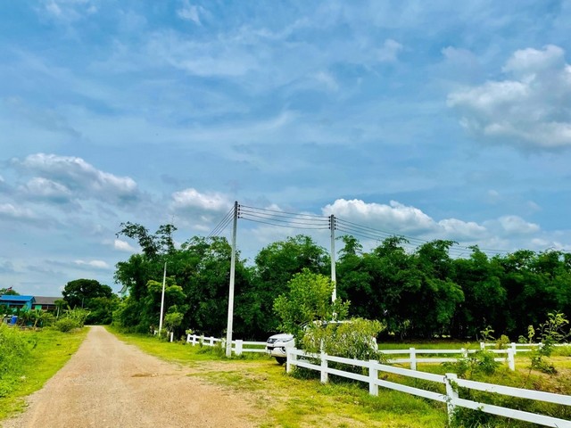 ขายที่ดิน ปากคลอง13 ต.บึงน้ำรักษ์ อ. ธัญบุรี จ.ปทุมธานี