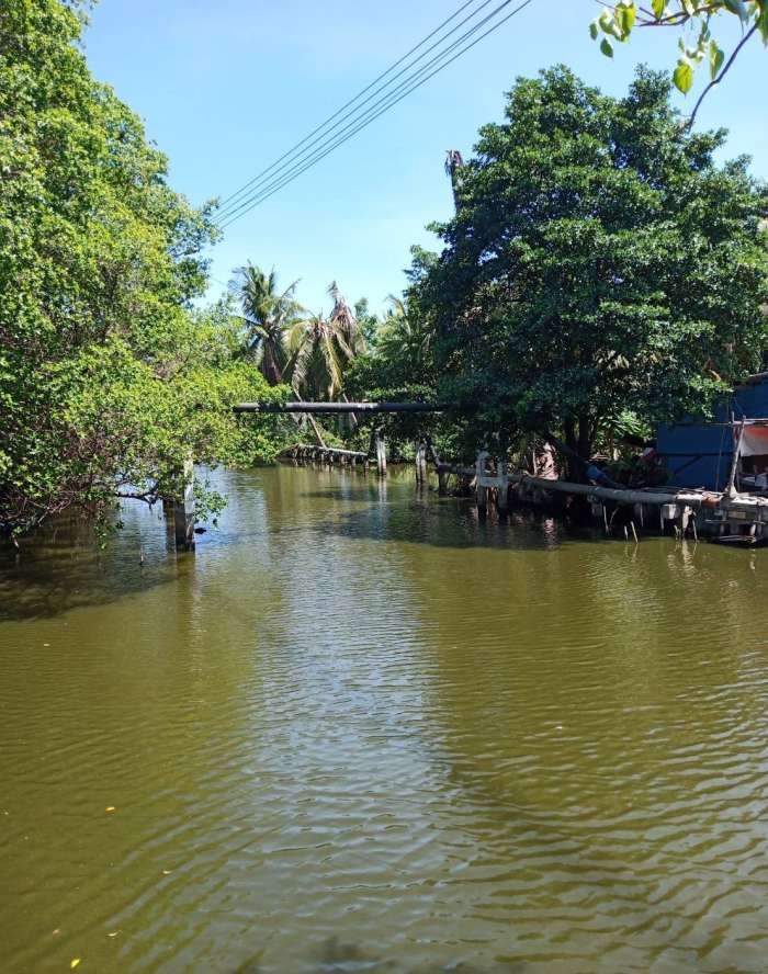 ขายที่ดินถมแล้วติดคลองพระสะทึงและติดถนนสาธารณะ เนื้อที่ 41 ไร่เศษ (แบ่งขายได้)  