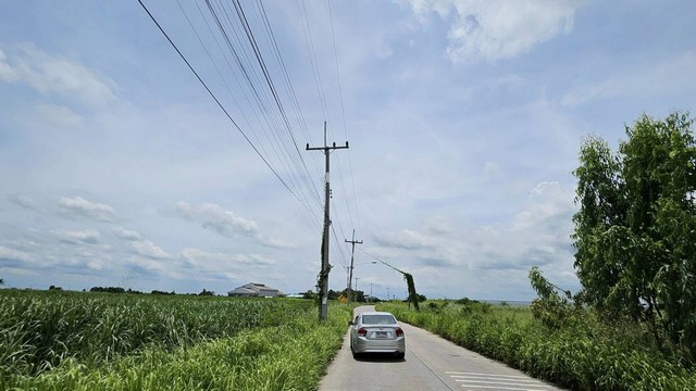 ขายที่ดินเขตหนองบอนแดง บ้านบึงชลบุรี