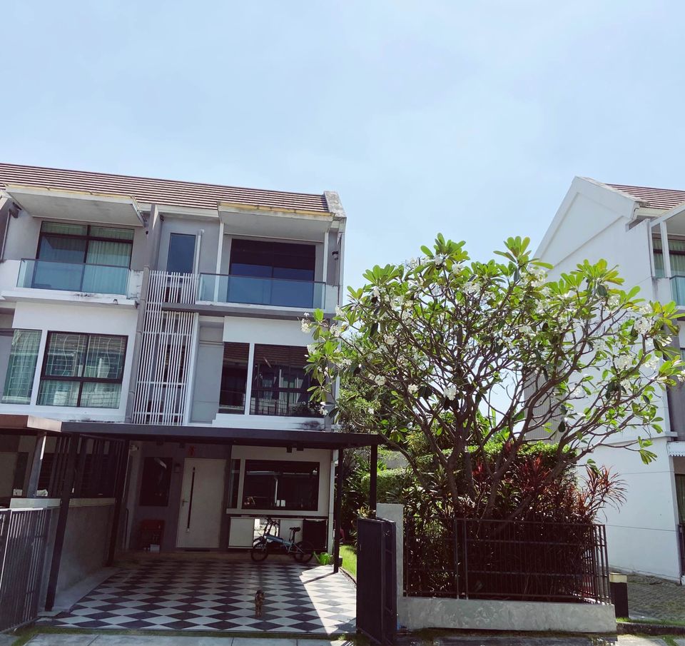 The Terrace รามอินทรา 65 เช่า ขาย townhome หัวมุม  