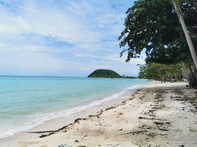 ขายที่ดิน ที่ดินติดทะเล หาดบางปอ