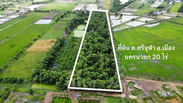 ขายที่ดิน ที่ดิน ศรีจุฬา อ.เมือง จ. นครนายก