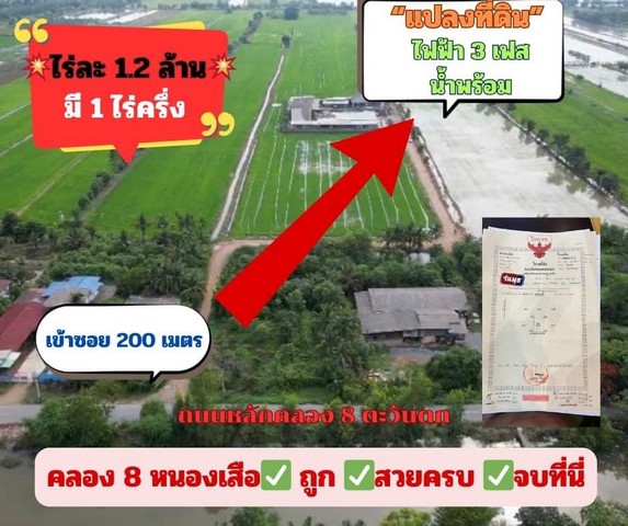 ขายที่ดิน คลอง8  ต.บึงชำอ้อ อ.คลองหลวง จ.ปทุมธานี 