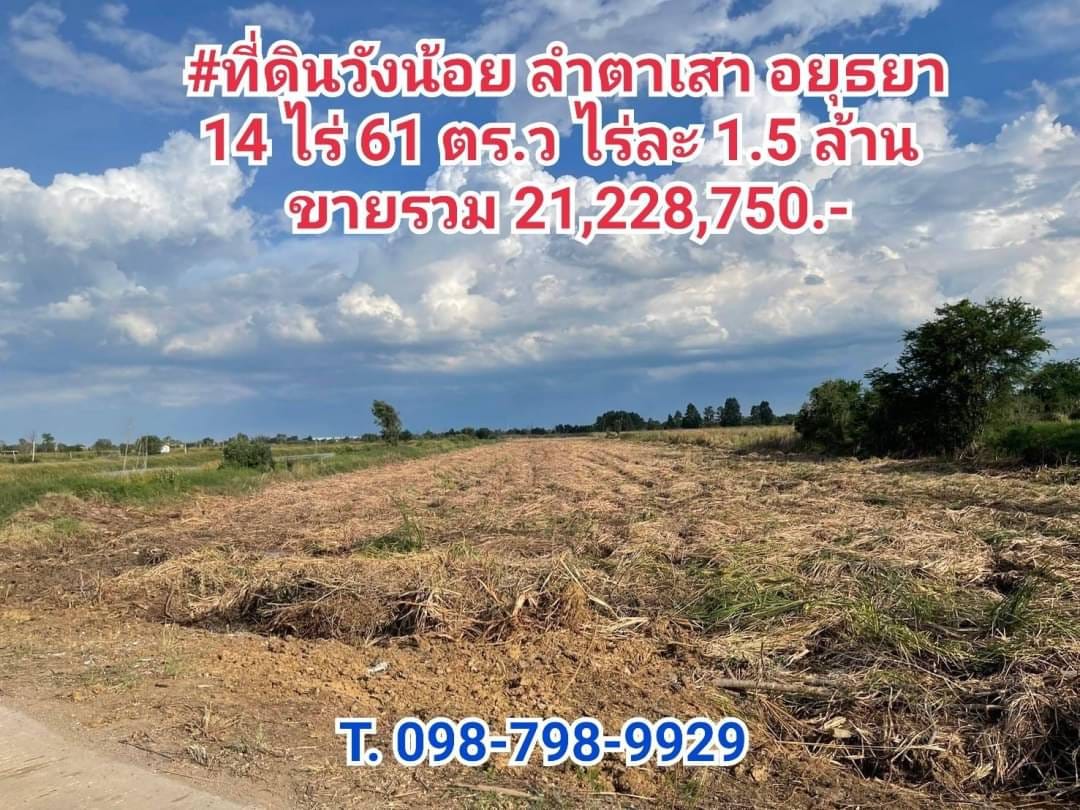 #ที่ดินวังน้อย อยุธยา 14 ไร่ 61 ตร.ว ไร่ละ 1.5 ล้าน