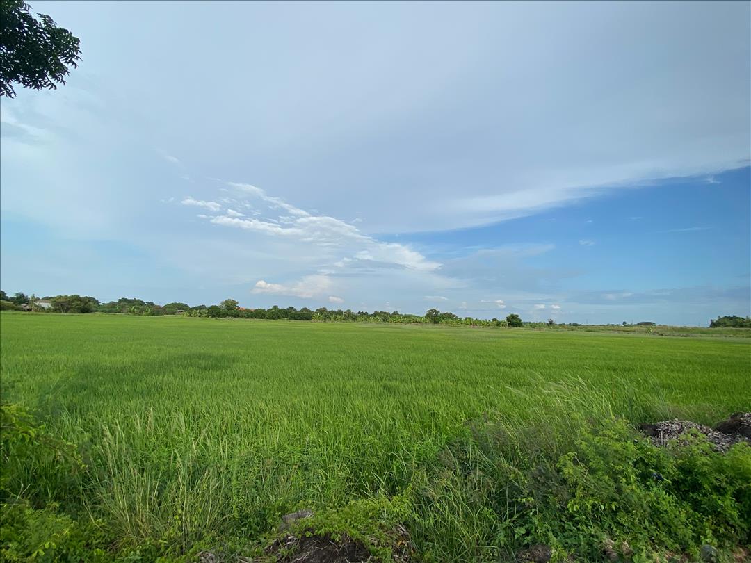 SaleLand land for sale 9 rai