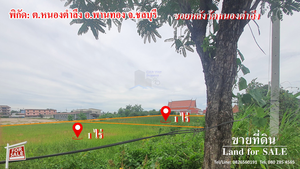 SaleLand CYP189 Land for Sale in Nongtumlueng (near Amata) A.Panthong Chonburi