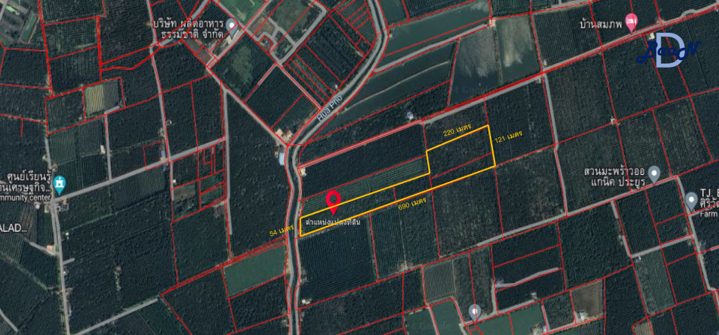 SaleLand Land for sale, Don Kruai Coconut Plantation, 31 rai 25 sq m, with abundant access to water.