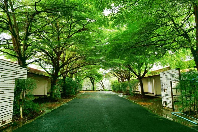 ขายรีสอร์สวย แฟนตาซีรีสอร์ท อำเภอเมืองอุบลราชธานี