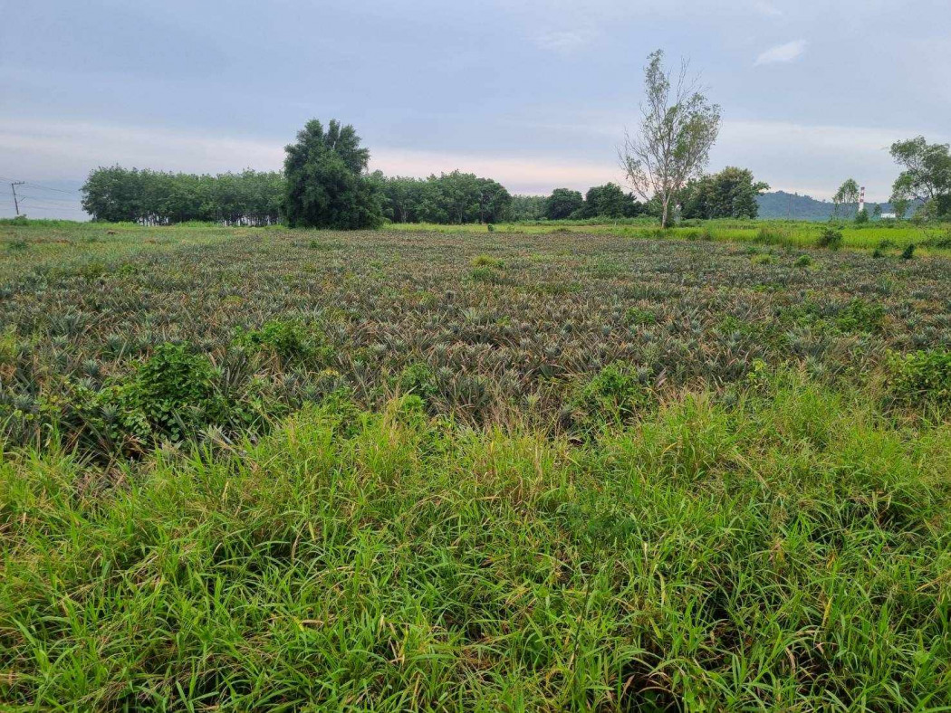 SaleLand Land for sale in Nong Suea Chang, area almost 2 rai, near road 4064-450 meters,