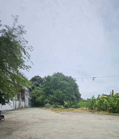 ขายที่ดิน ขายที่ดินเปล่า ติดสถานีรถไฟฟ้าสายสีเหลือง บน ถนน.ศรีนครินทร์ 