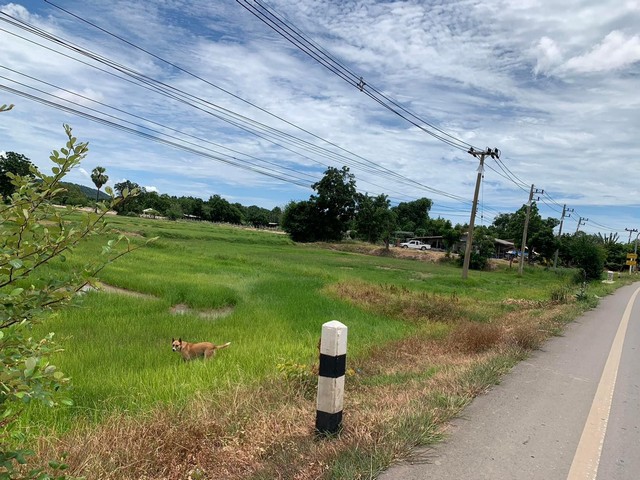 ขายที่ดิน ขายที่ดินโฉนดเเปลงเล็ก ติดถนนลาดยาง อ.พนมทวน จ.กาญจนบุรี