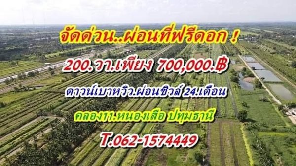 ขายที่ดิน จัดด่วนผ่อนที่ฟรีดอกที่ดินคลอง11หนองเสือราคาเบาผ่อนสบาย. T.062-1574449