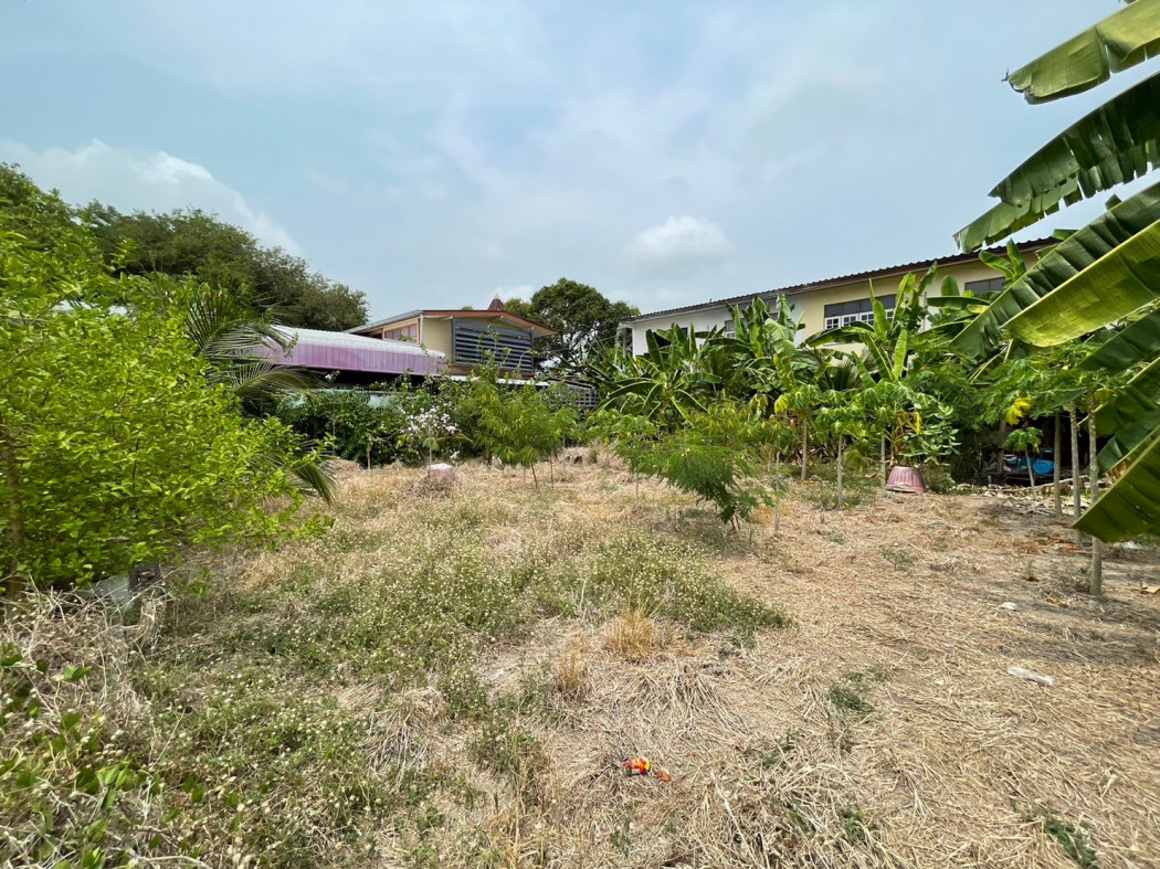 SaleLand Land for sale in Tha Pradu in the heart of Rayong city, area 119 sq m., already filled in,