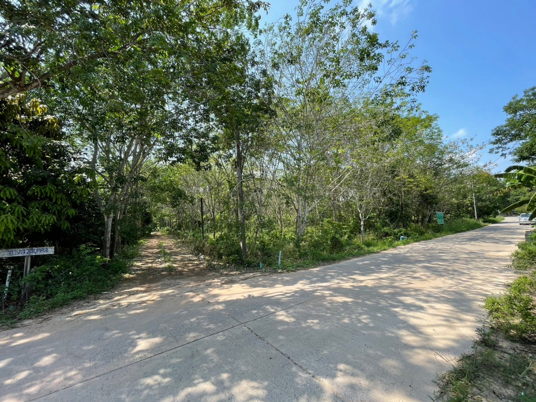 SaleLand Land for sale in Muang Rayong, Ban Laeng-Khwakling Rayong with rubber plantation, area 11 rai,